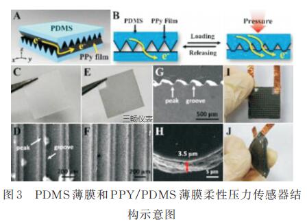 PDMS Ĥ PPY/PDMS ĤԉY ʾD